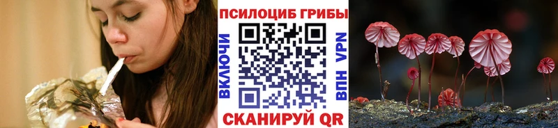 Галлюциногенные грибы Psilocybine cubensis  Боготол 