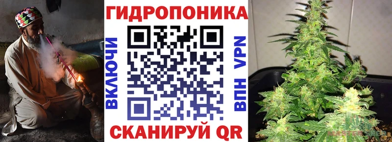 Бошки марихуана конопля купить наркотик Боготол